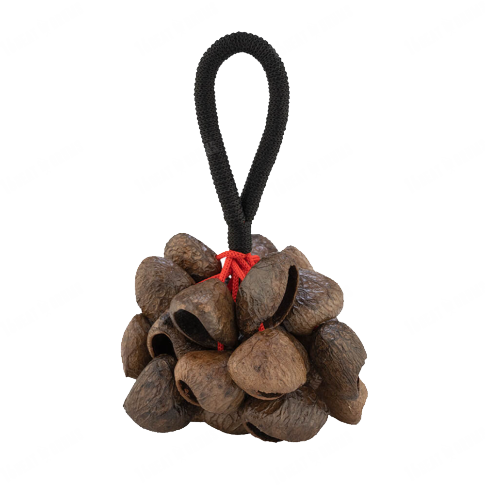 Pearl Pangi Nut Shaker with Rope Handle PBPGRH14