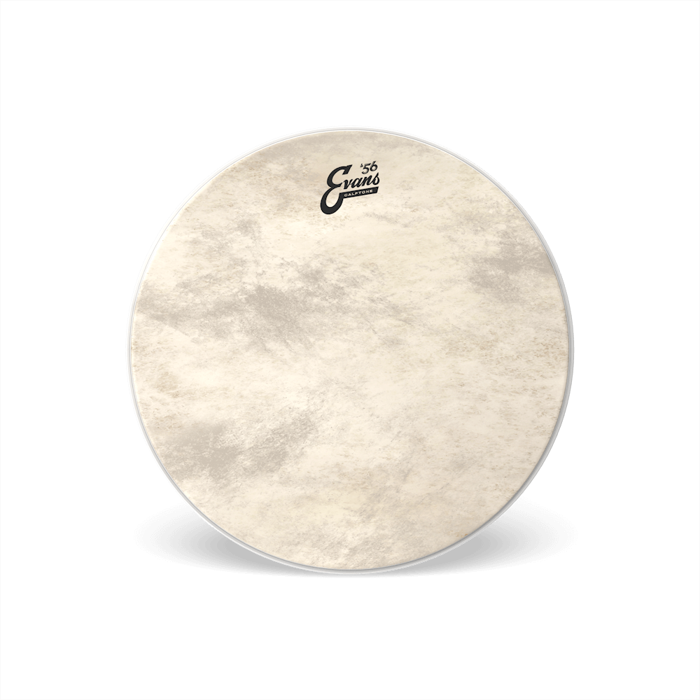 Evans CALFTONE Bass Batter 16"