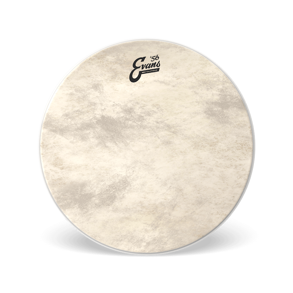 Evans EQ4 CALFTONE Bass Batter