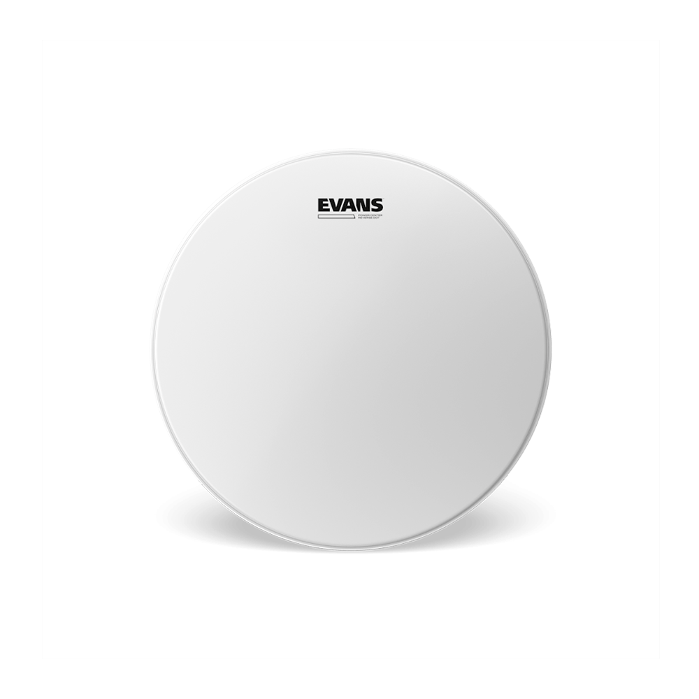 Evans Power Center Reverse Dot Coated Snare Batter