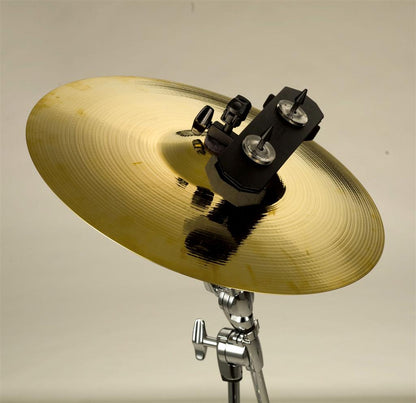 Pearl Anarchy Crasher PAR-100