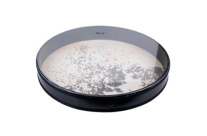 Pearl Ocean Drum 16" x 2.5" PSFM-16