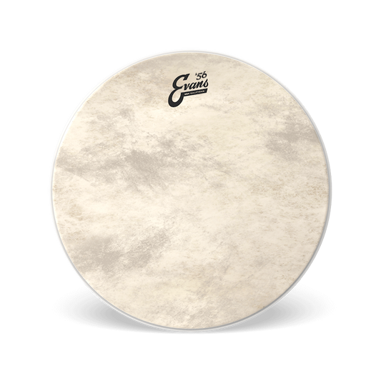 Evans EQ4 CALFTONE Bass Batter